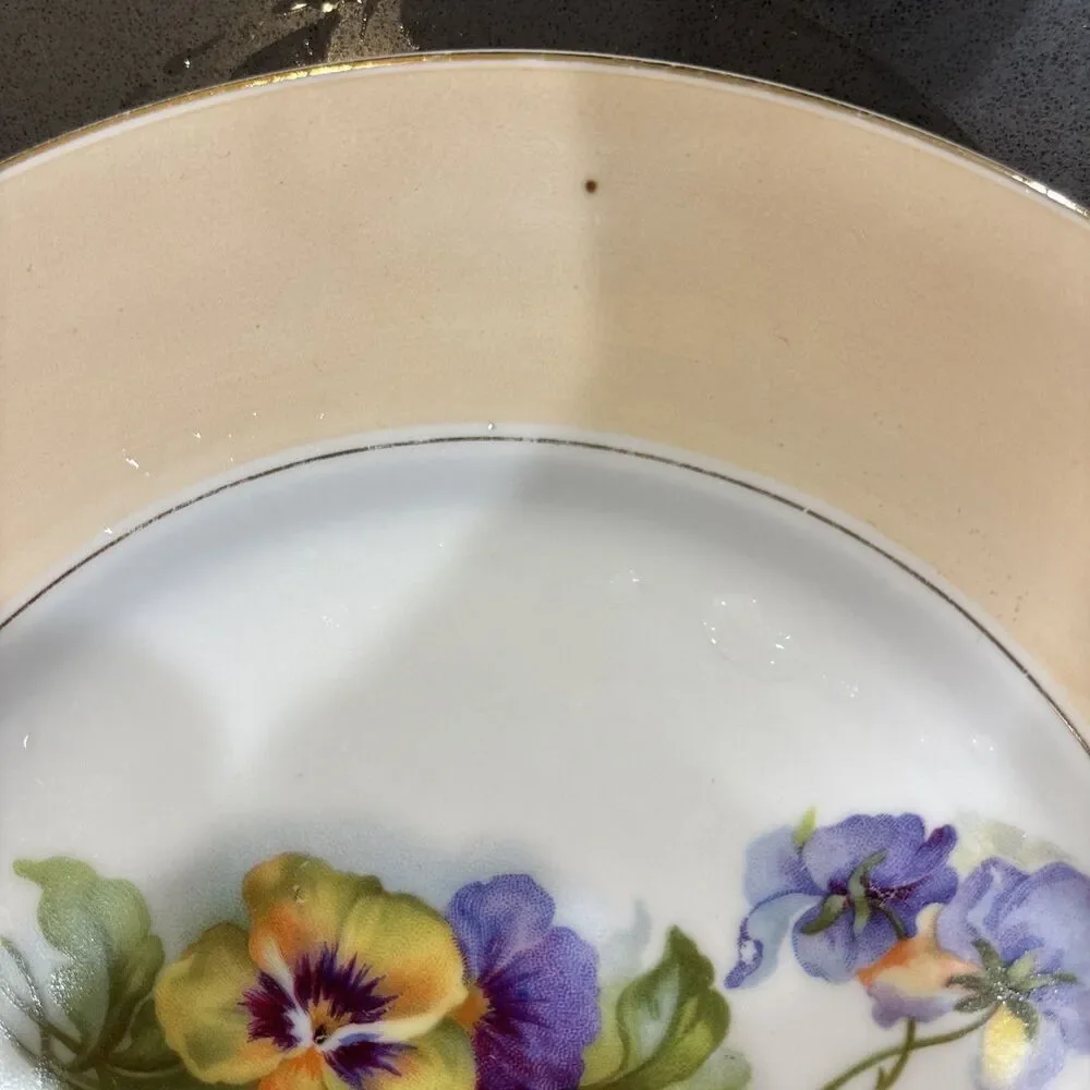 Vintage Austria HUB Hand Painted Violets Dinner PLATE - 8 5/8” Dia Peach White